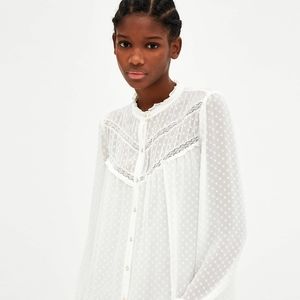 Zara Sheer Blouse